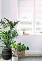 Perfect Fit Shutters - Image 9