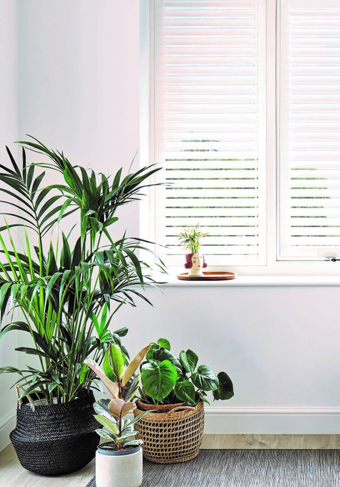 Perfect Fit Shutters - Image 9