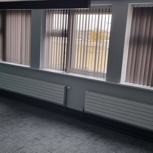 Empty room with green wall and large windows